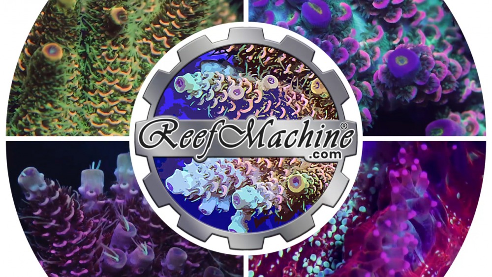 Reef Machine - UK Coral Aquaculture