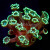 Yellow Alveopora Coral | 6L8A6089.jpg