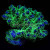 Rainbow Pocillopora Coral (Mini Colony)  | 6L8A7217.jpg