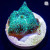 Green Mushroom Discosoma sp. | 6L8A7853.jpg