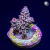 RM Cherry Blossom Acropora Bifaria (Tenuis) Coral | 6L8A2471.jpg